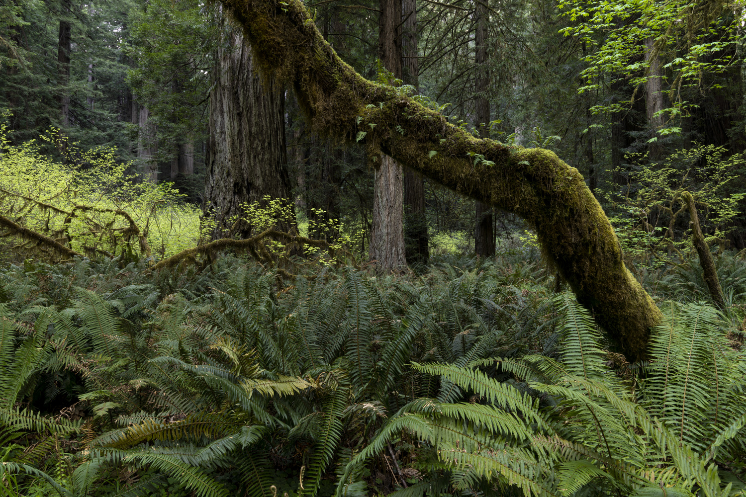 California State Parks