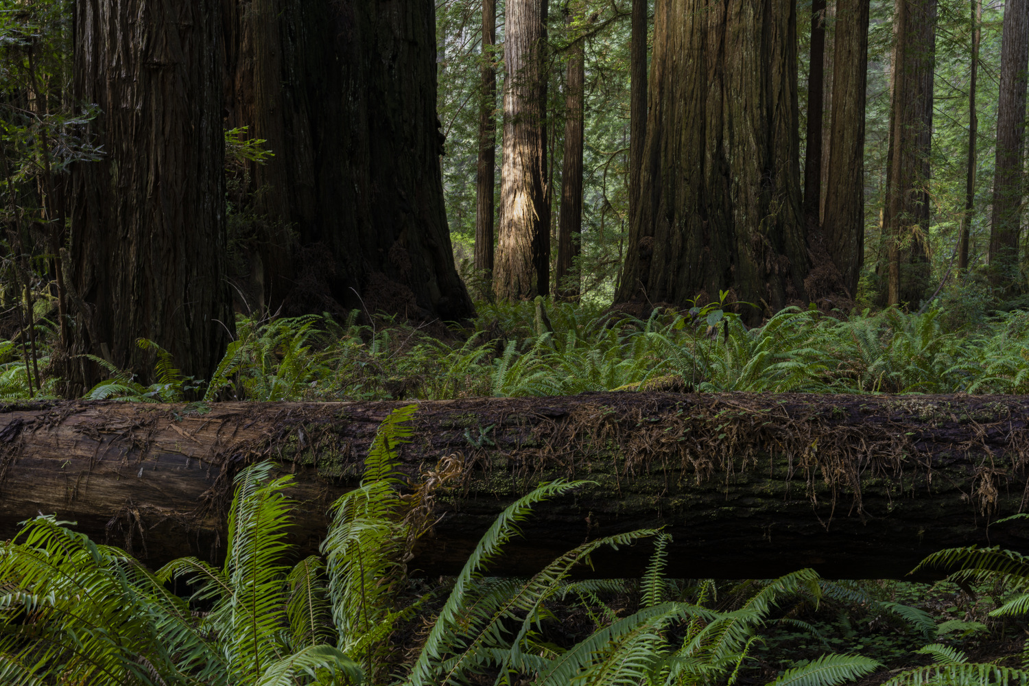 California State Parks