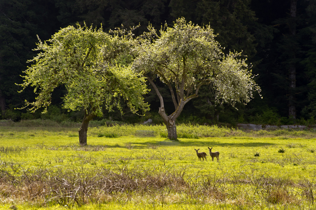 California State Parks