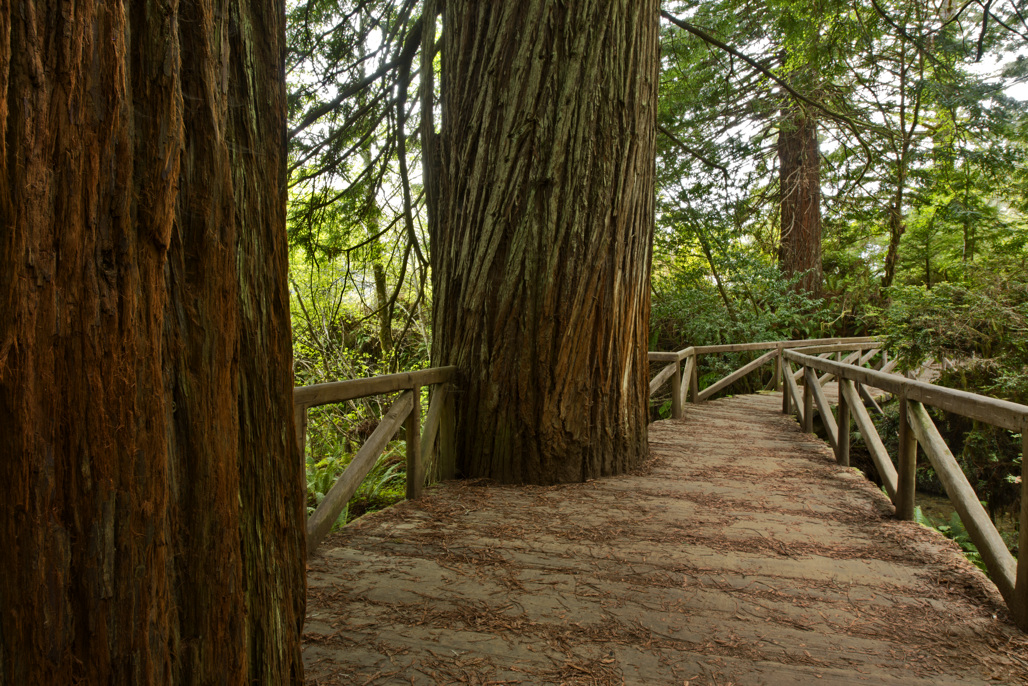 California State Parks