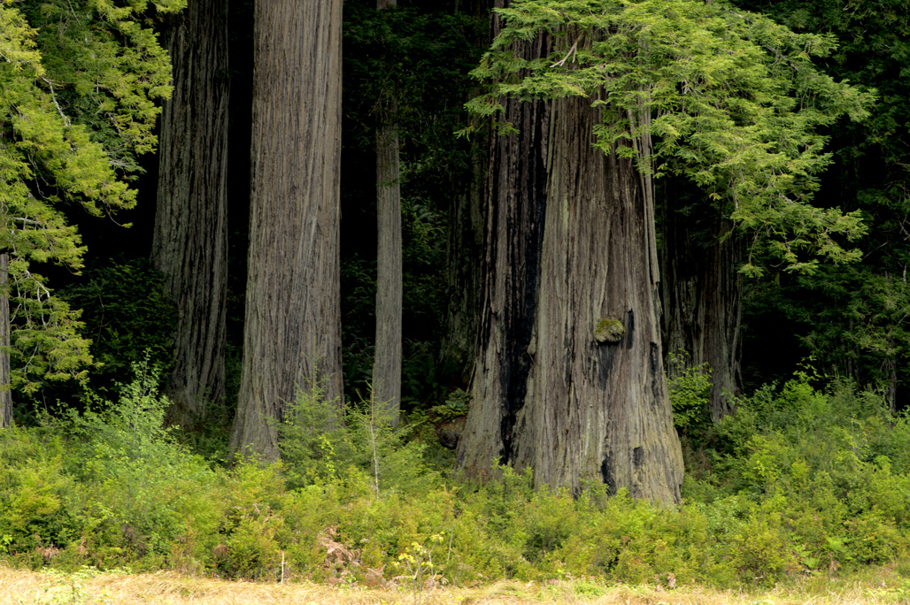 California State Parks