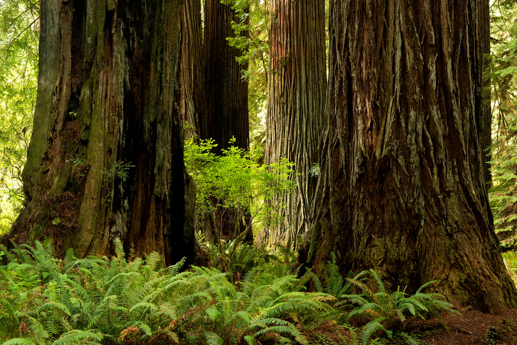 California State Parks