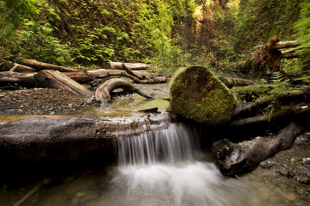 California State Parks