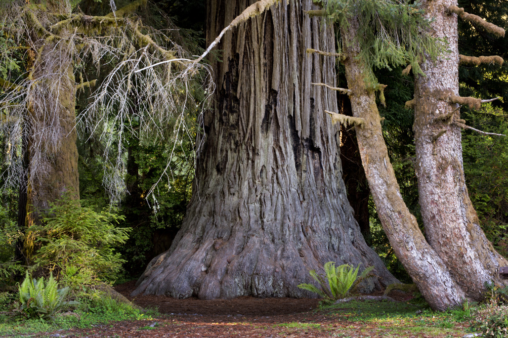California State Parks