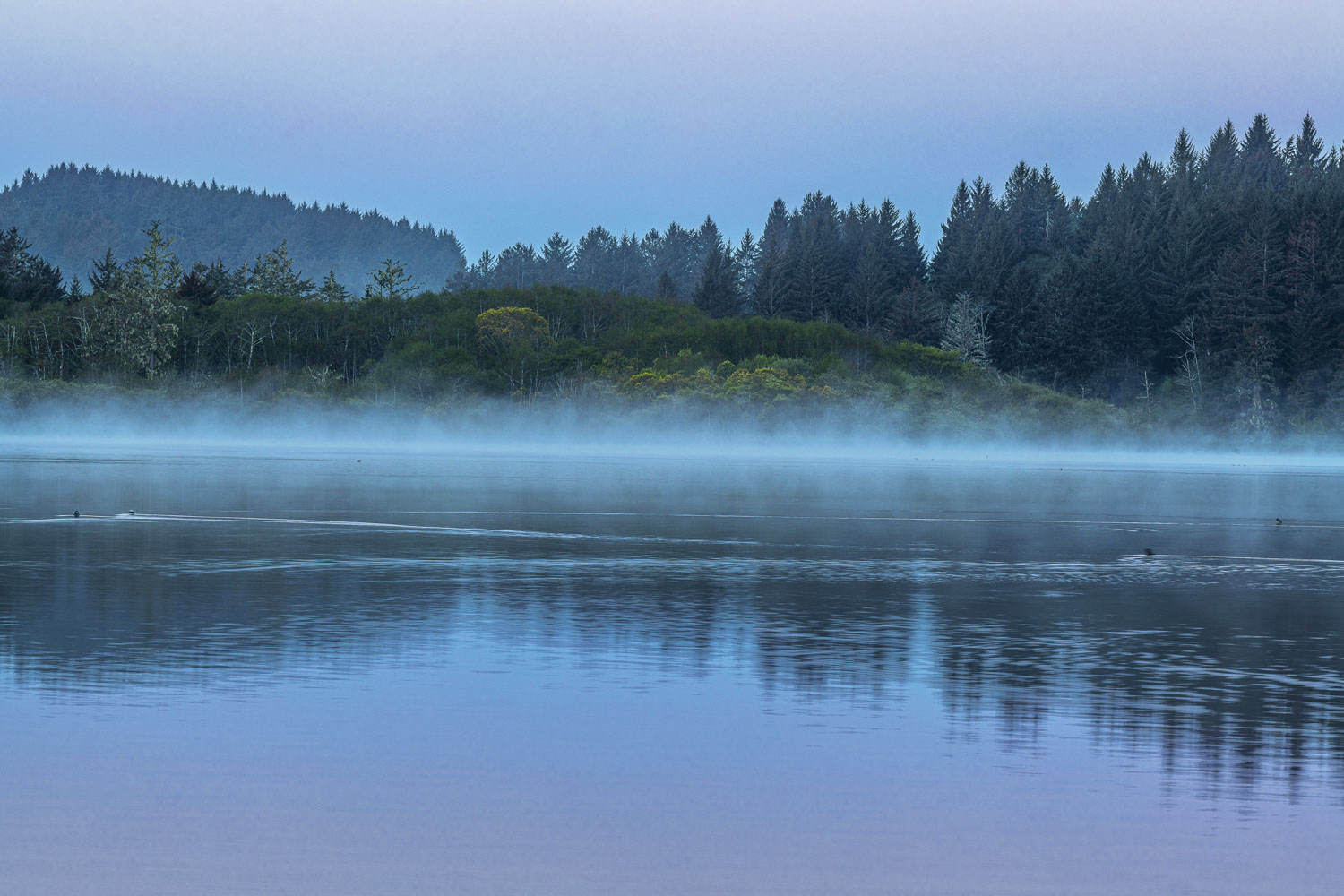 California State Parks