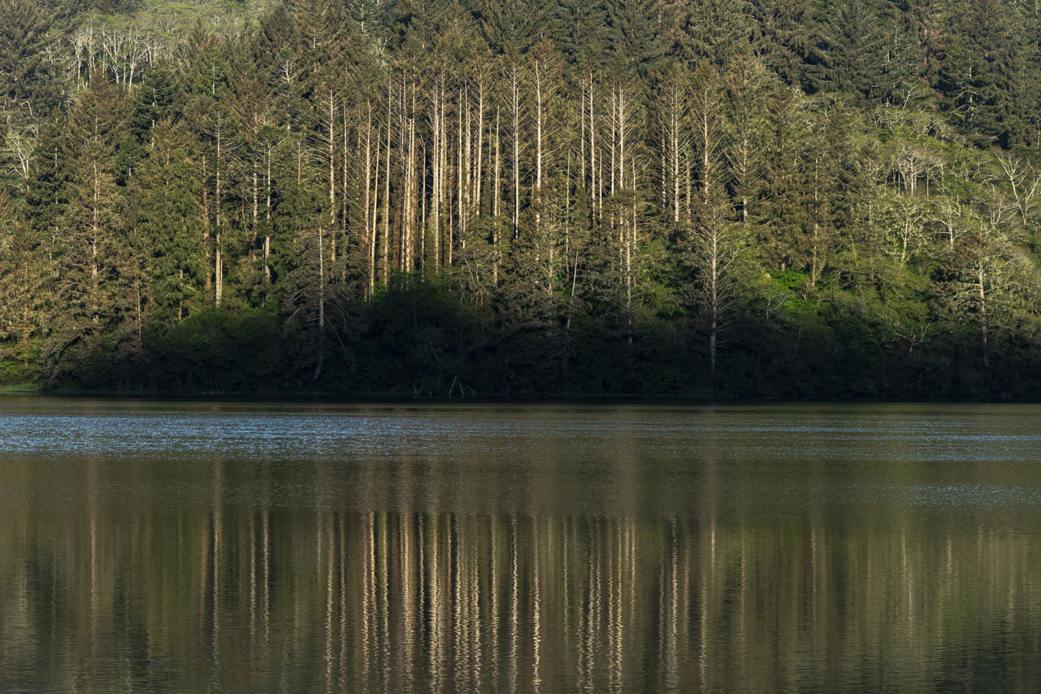 Stone Lagoon Boat-In Campground