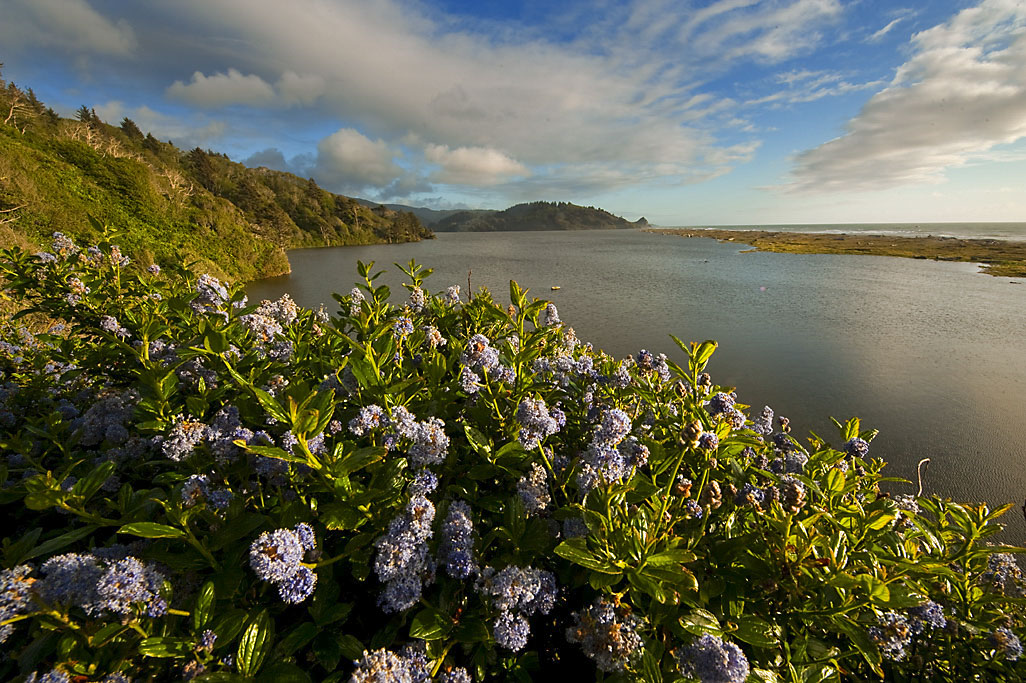 California State Parks