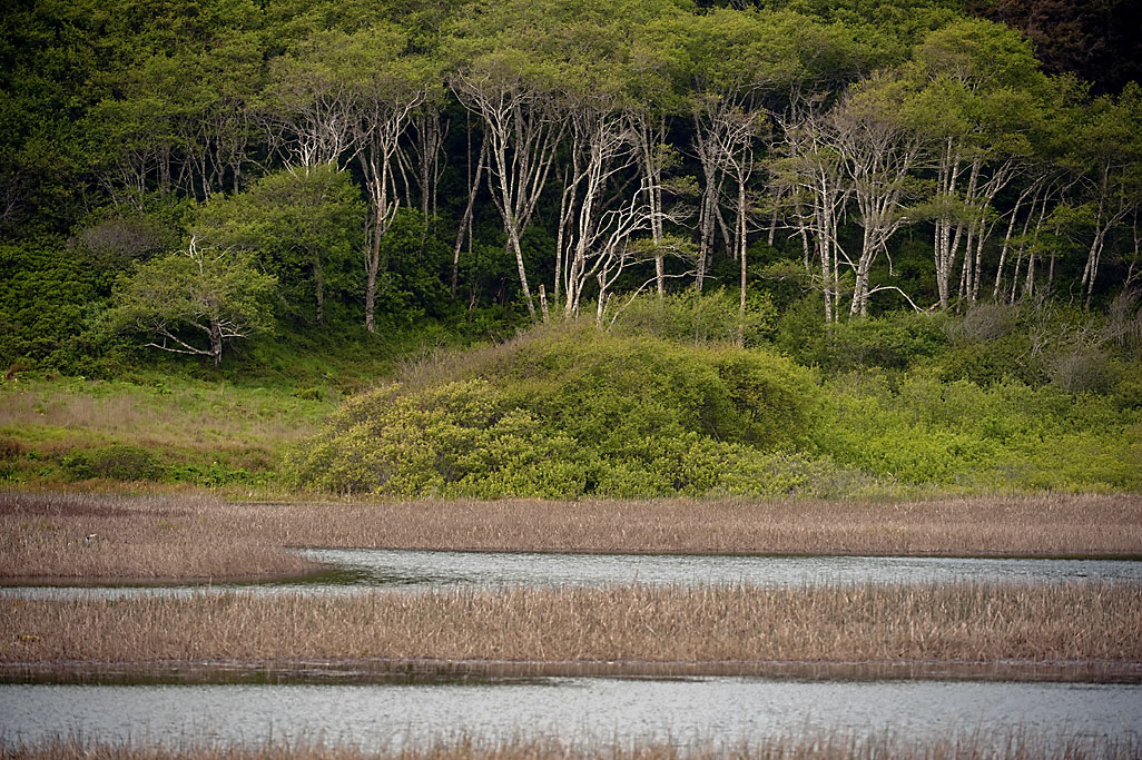 Stone Lagoon Boat-In Campground