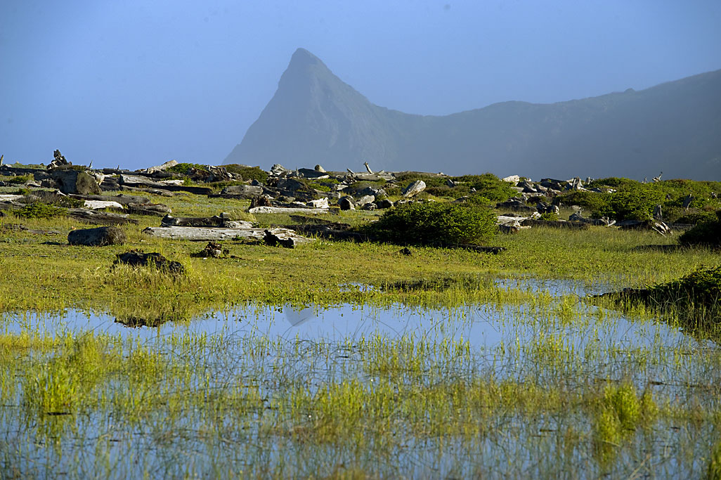 Dry Lagoon E- Campground