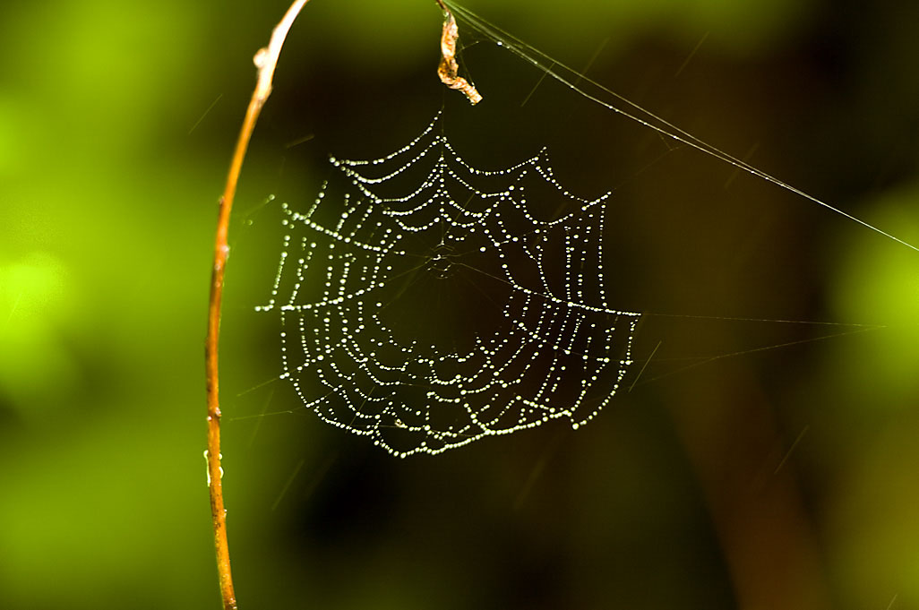 California State Parks