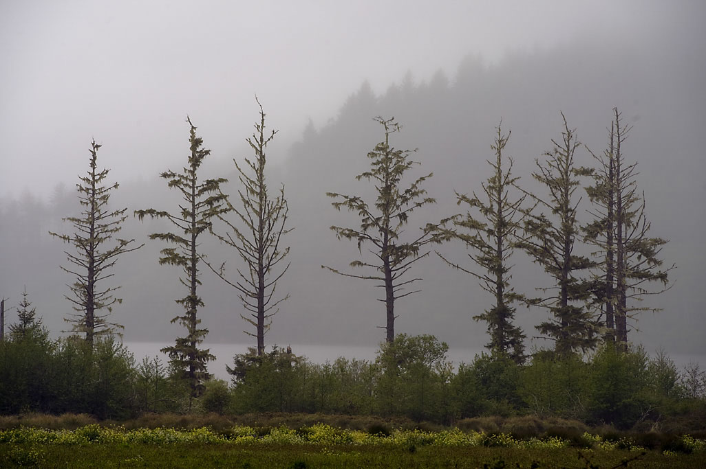 California State Parks