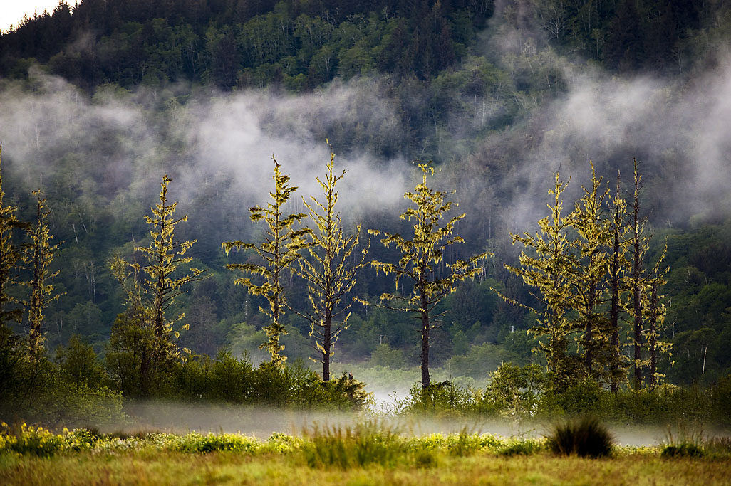 California State Parks