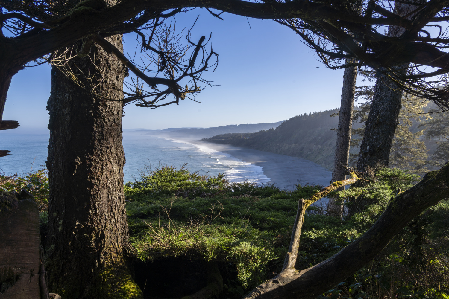 California State Parks
