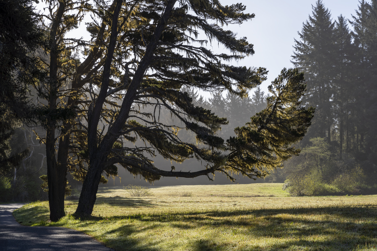 California State Parks