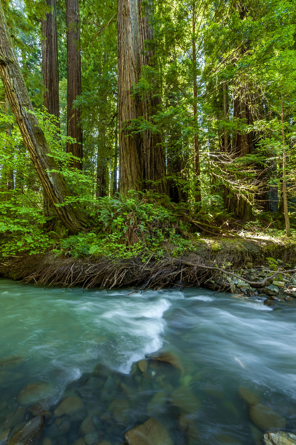California State Parks