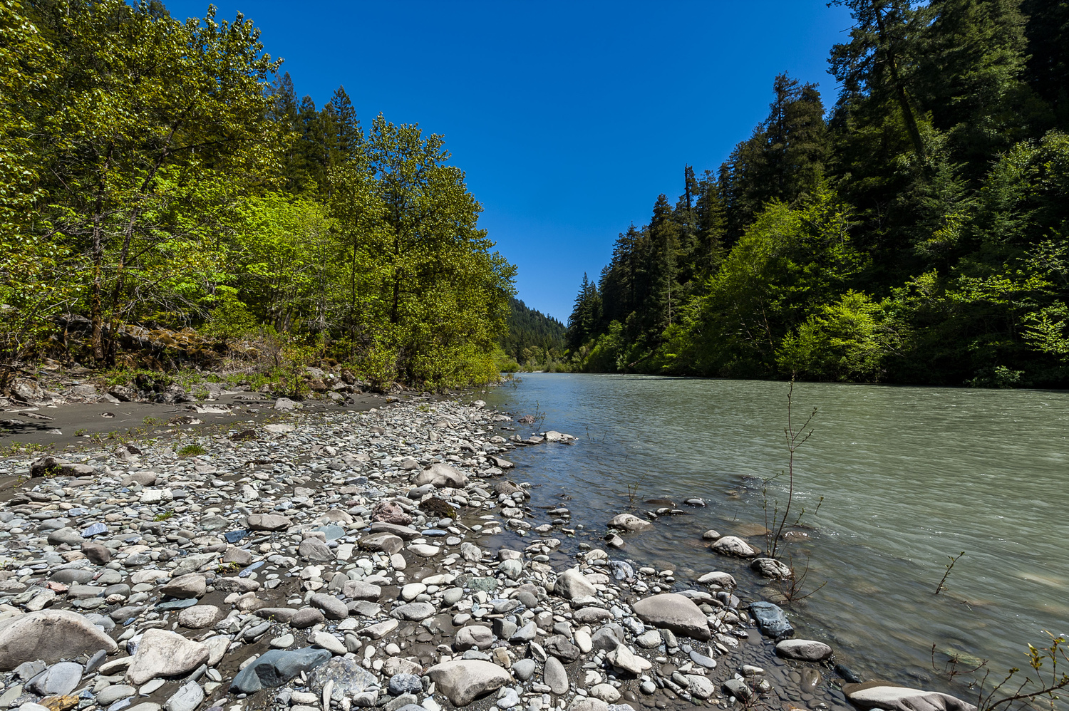 California State Parks