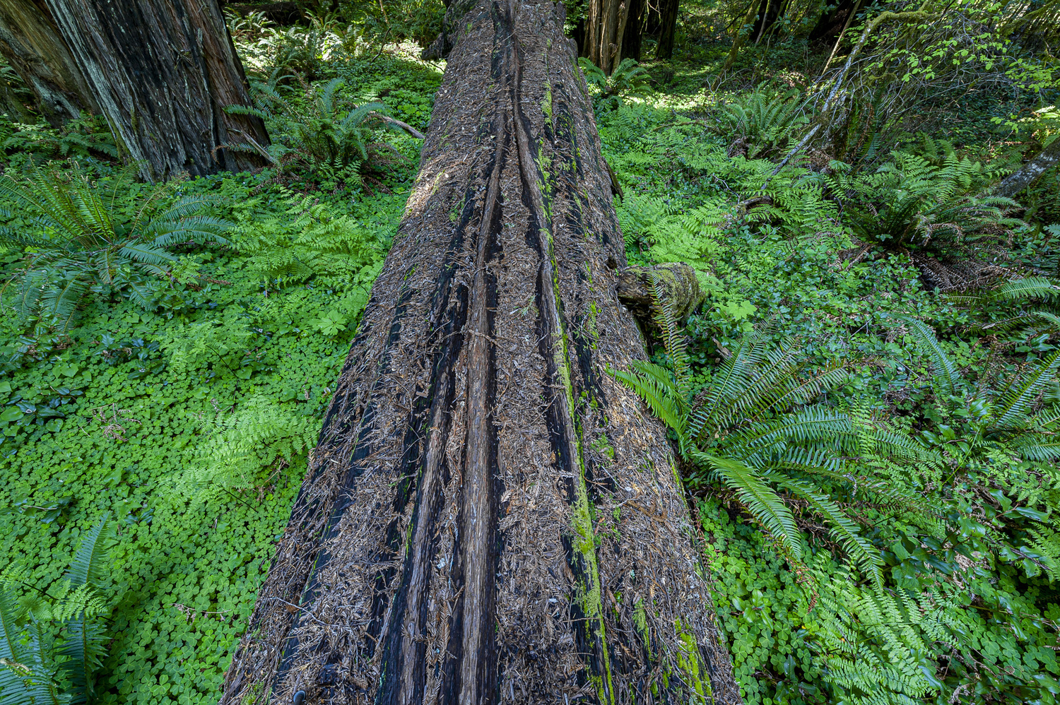 California State Parks