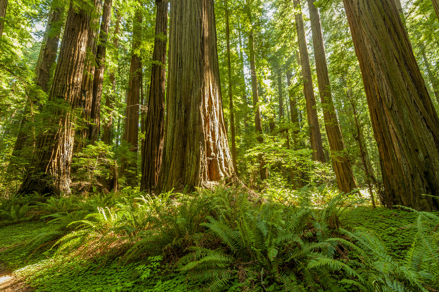 California State Parks