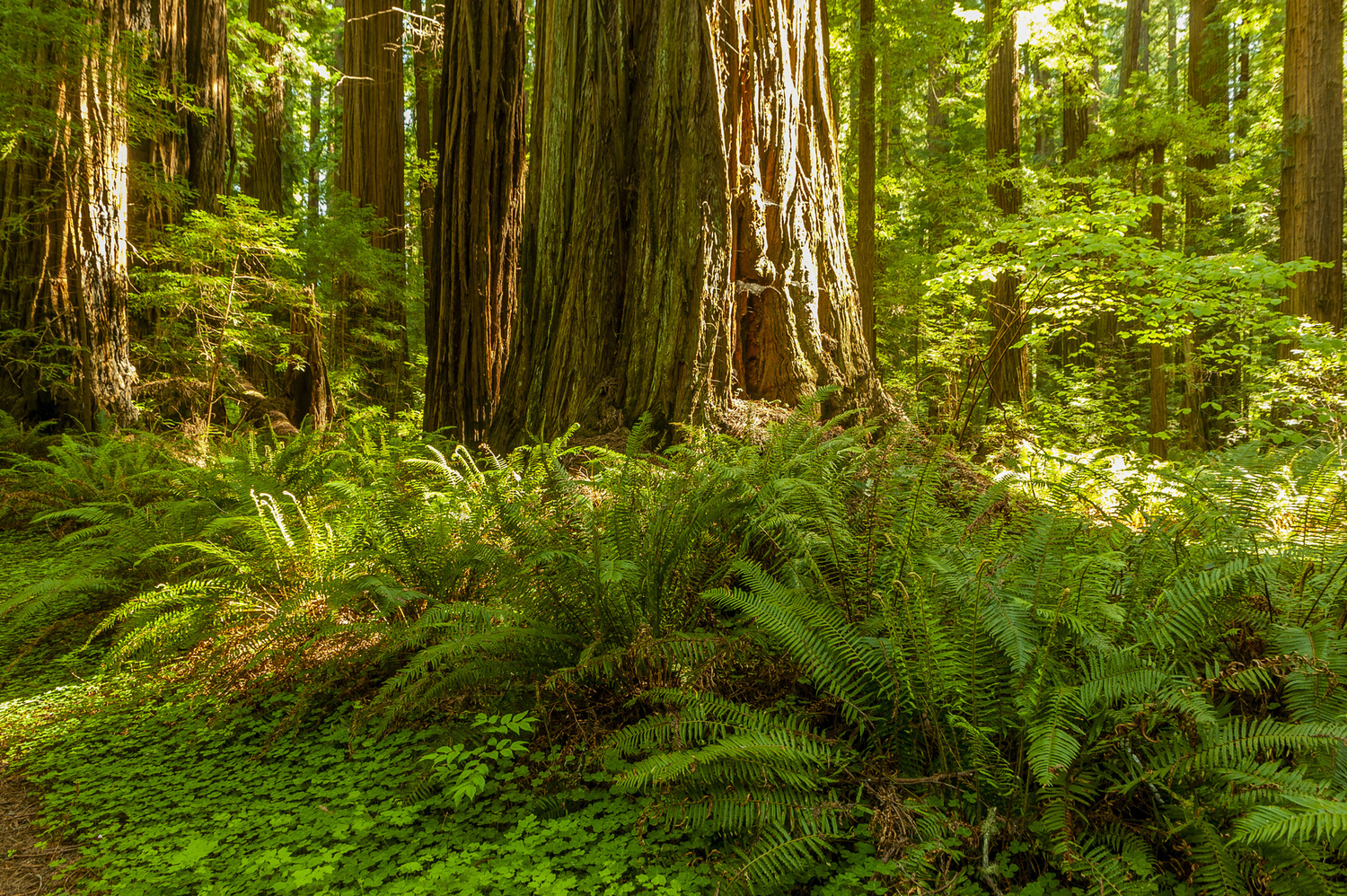 California State Parks