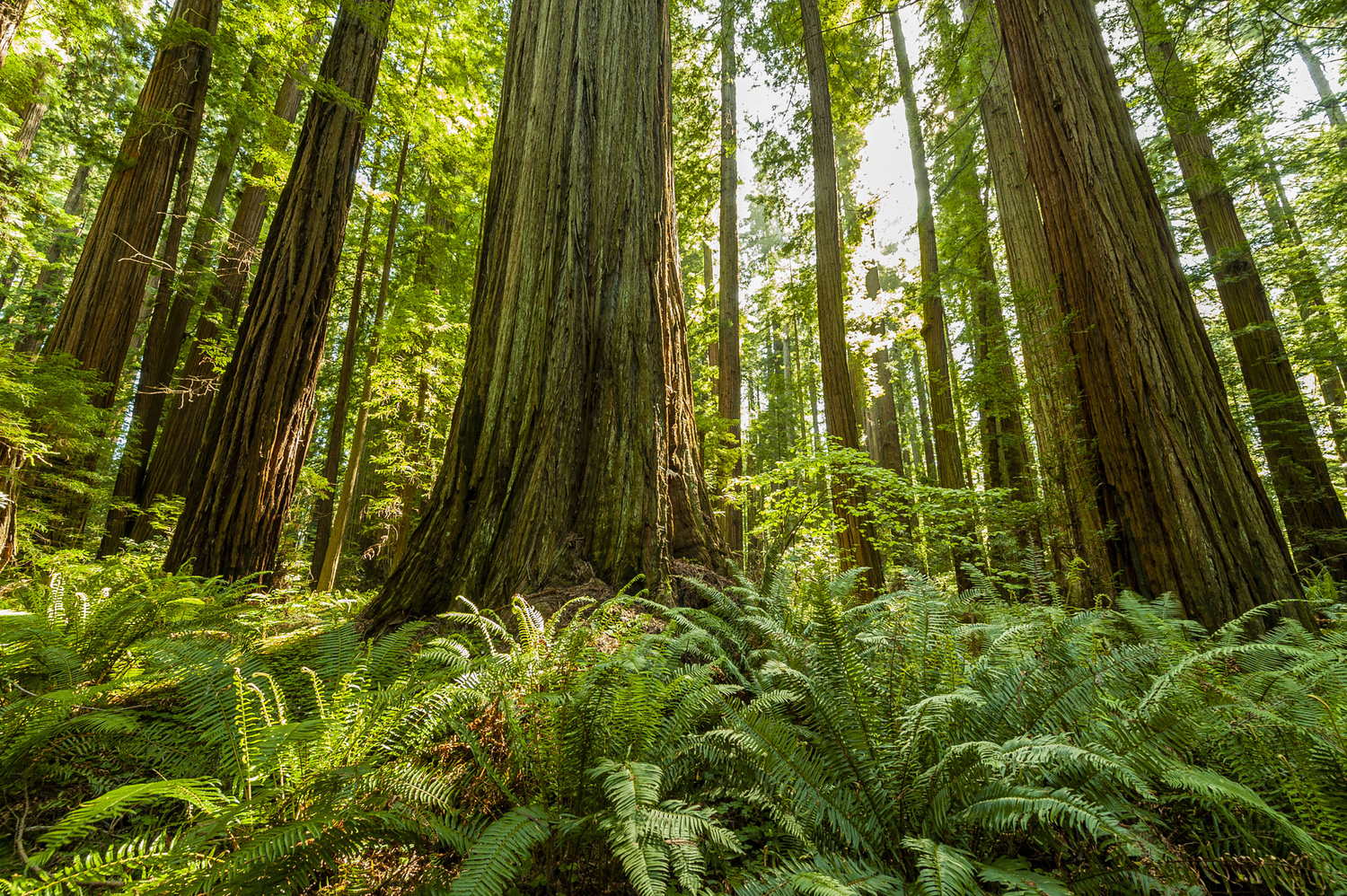 California State Parks