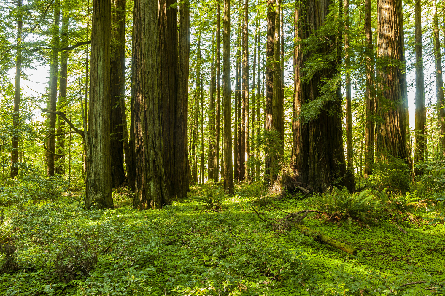 California State Parks