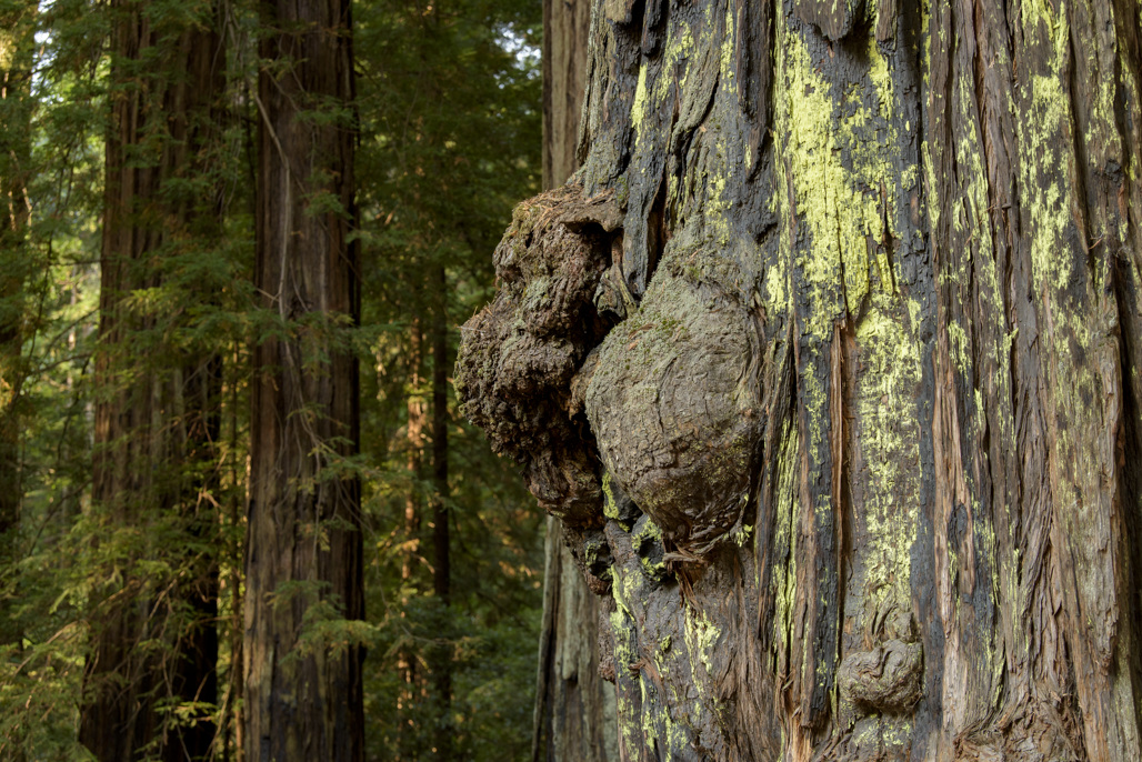 California State Parks