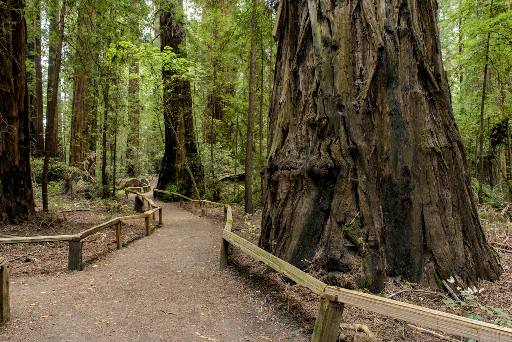 California State Parks
