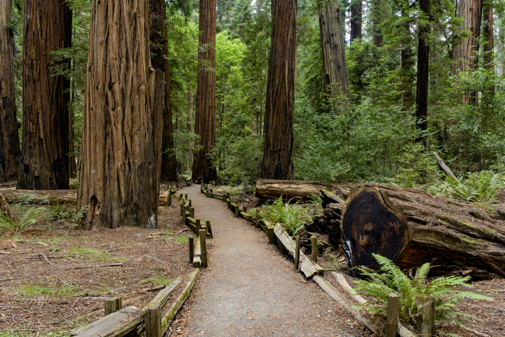 Huckleberry Campground