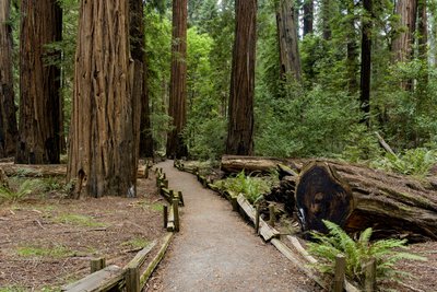 Huckleberry Campground