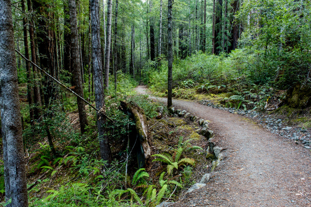 Standish-Hickey State Recreation Campground
