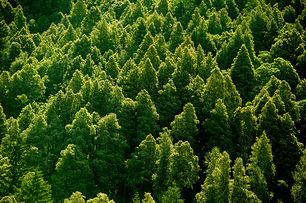 Standish-Hickey State Recreation Campground