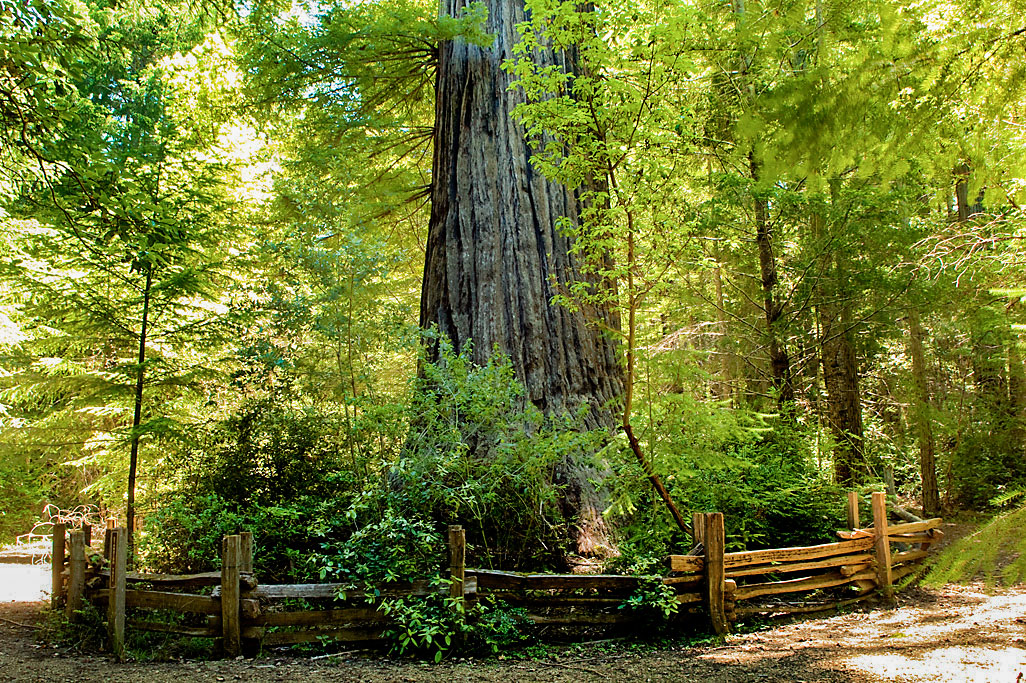 Standish-Hickey State Recreation Campground