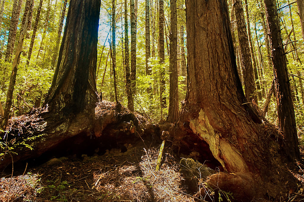 California State Parks