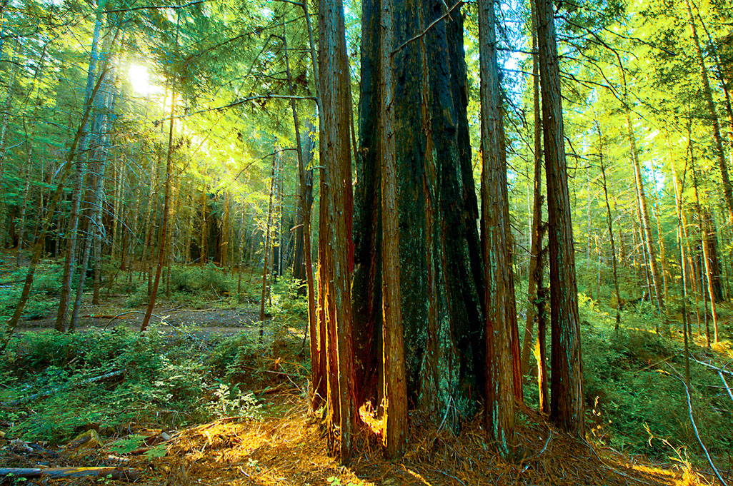 California State Parks