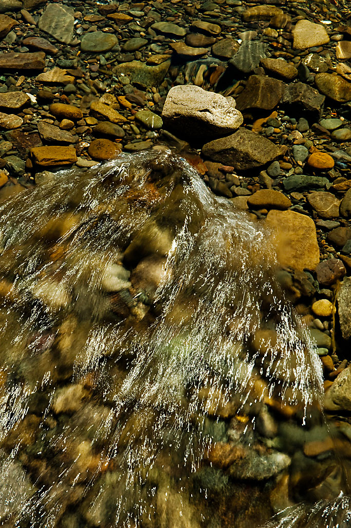 Standish-Hickey State Recreation Campground