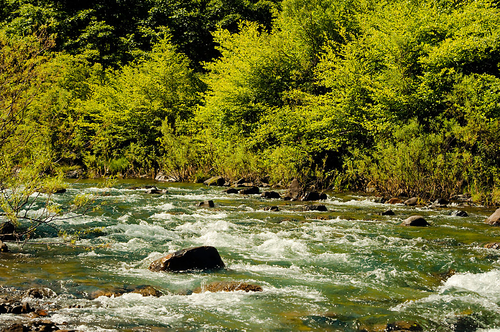 Standish-Hickey State Recreation Campground