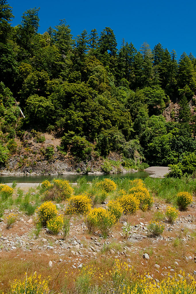 California State Parks