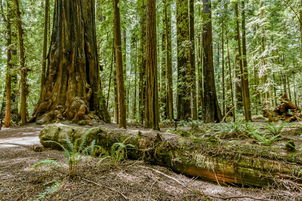 California State Parks