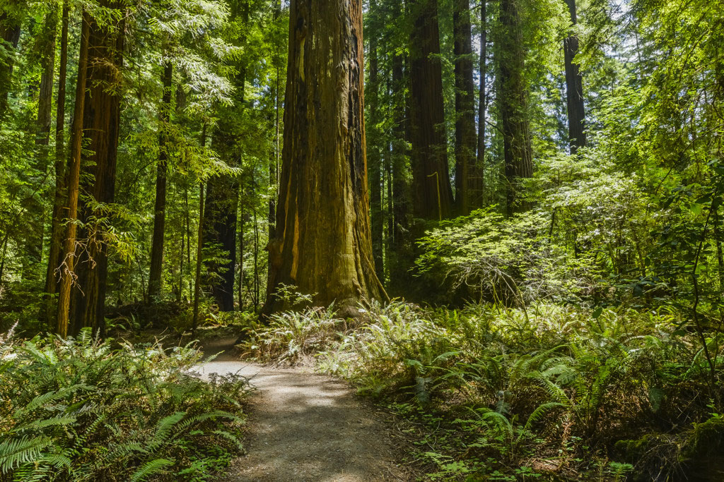 California State Parks