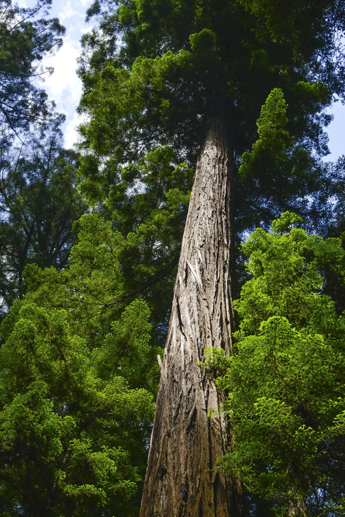 California State Parks