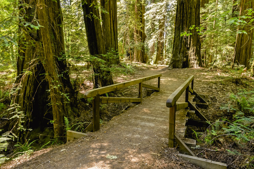 California State Parks