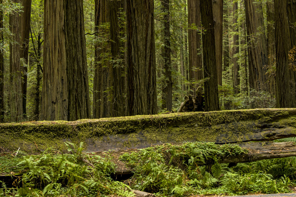 California State Parks