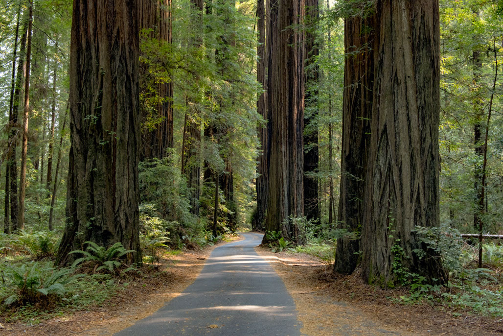 Albee Creek Campground