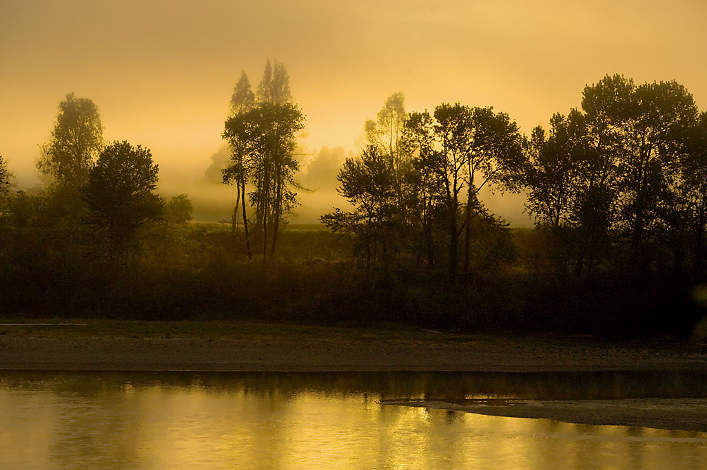 Trail Bull Creek Campground