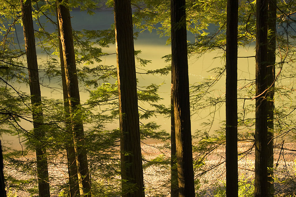 California State Parks