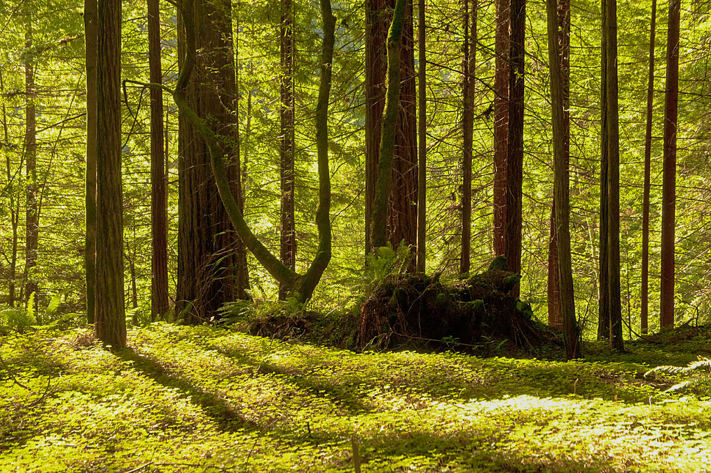 California State Parks