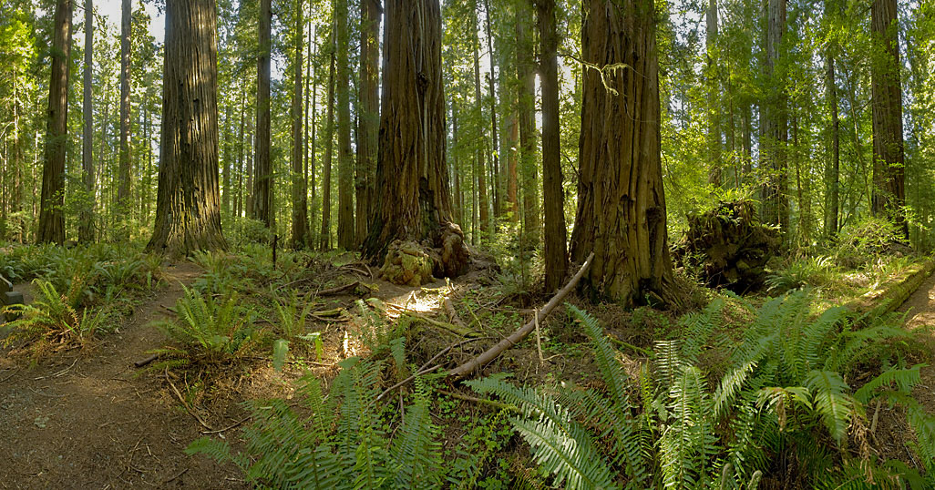 California State Parks