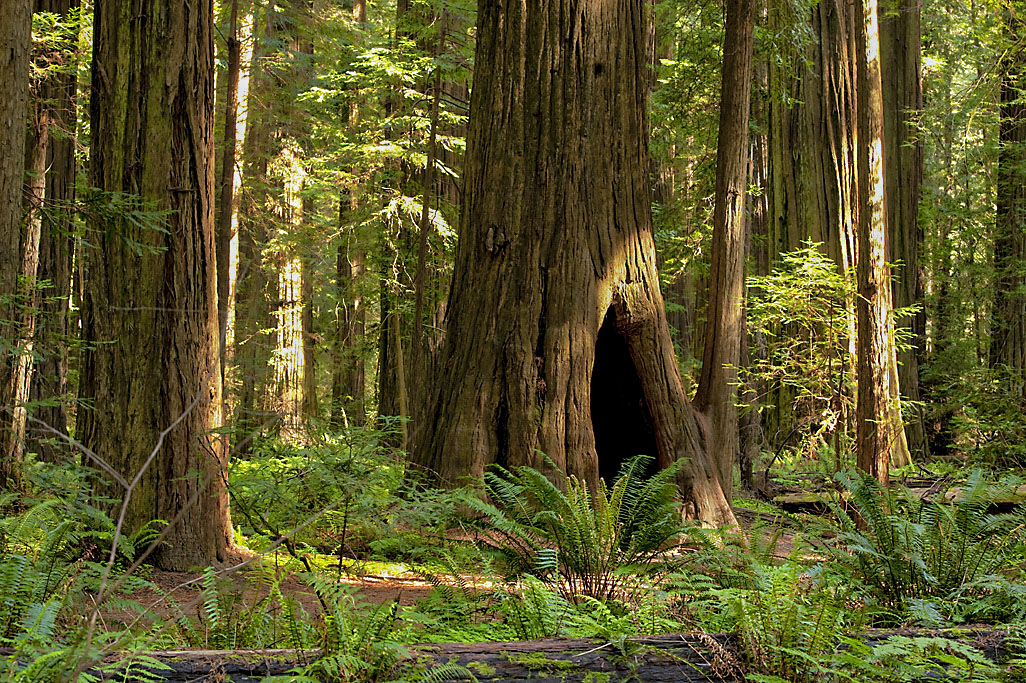 California State Parks