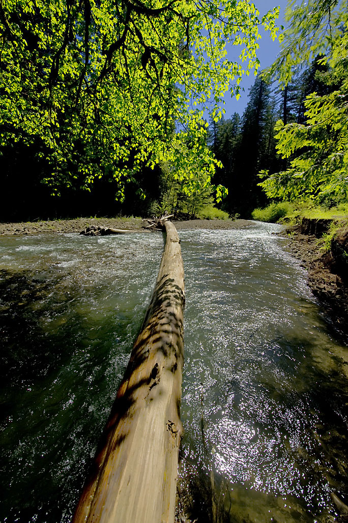 California State Parks