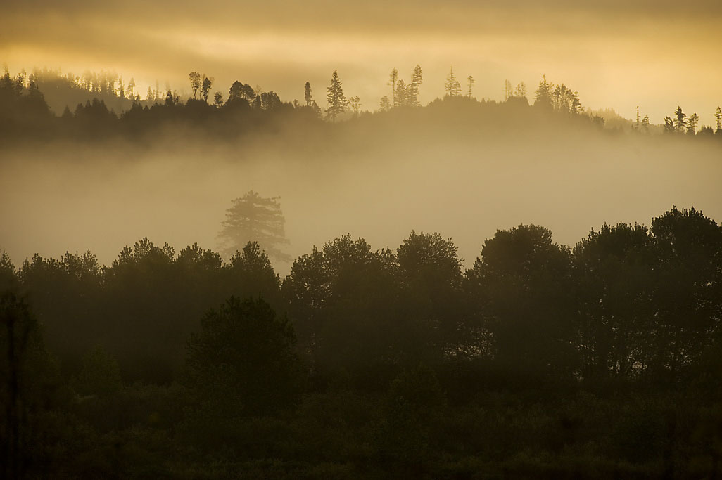 California State Parks